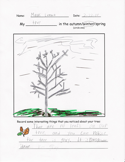 Winter Tree