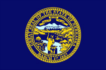 State flag